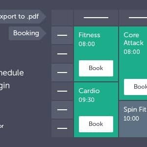 Timetable Responsive Schedule für WordPress